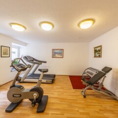 Отель Bellevue Hotel Австрия, Вена - - забронировать отель Bellevue Hotel, цены и фото номеров фитнесс-зал