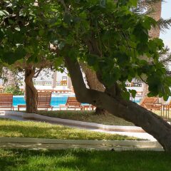 Hotel Bel Azur Thalasso & Bungalows фитнесс-зал