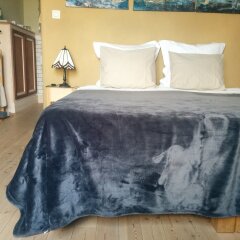 Отель Bed and Breakfast Exterlaer Бельгия, Антверпен - отзывы, цены и фото номеров - забронировать отель Bed and Breakfast Exterlaer онлайн комната для гостей фото 3