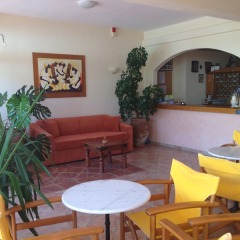 Отель Aloni Hotel Греция, Пефкохори - отзывы, цены и фото номеров - забронировать отель Aloni Hotel онлайн питание фото 2
