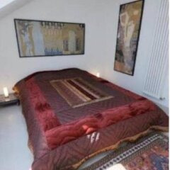 Отель Pvh Charming Flats Horejsi Nabrezi Прага комната для гостей фото 2