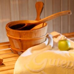 Hotel Gutenberg Сцена сауна