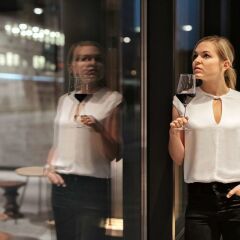 Отель ibis Zurich Adliswil