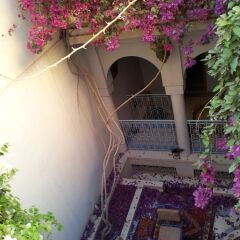 Отель Riad De Rêve Марокко, Загора - отзывы, цены и фото номеров - забронировать отель Riad De Rêve онлайн фото 5