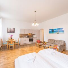 Отель Goldfisch Apartment am Augartenpark Австрия, Вена - отзывы, цены и фото номеров - забронировать отель Goldfisch Apartment am Augartenpark онлайн комната для гостей фото 5