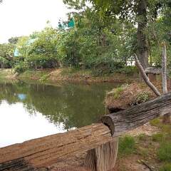 Отель Green View Resort