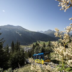 Отель Snow & Mountain Resort Schatzalp Швейцария, Давос - отзывы, цены и фото номеров - забронировать отель Snow & Mountain Resort Schatzalp онлайн фото 3