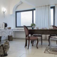 Отель Il Pettirosso B&B Италия, Гроттаферрата - отзывы, цены и фото номеров - забронировать отель Il Pettirosso B&B онлайн питание