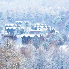 Отель Chalet Resort Южная Корея, Пхёнчан - отзывы, цены и фото номеров - забронировать отель Chalet Resort онлайн пляж