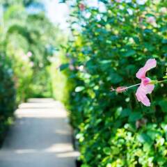 Отель All Seasons Naiharn Phuket Таиланд, Пхукет - - забронировать отель All Seasons Naiharn Phuket, цены и фото номеров фото 10