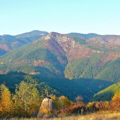 Отель Melanya Mountain Retreat Болгария, Ардино - отзывы, цены и фото номеров - забронировать отель Melanya Mountain Retreat онлайн фото 9