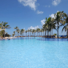 Отель Oasis Cancun Lite с домашними животными