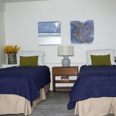Cloud9 Dominica Boutique Hotel in Massacre, Dominica from 153$, photos, reviews - zenhotels.com guestroom photo 3