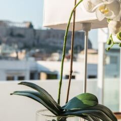 Acropolis Select Hotel бассейн фото 2