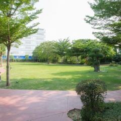 Отель Waterford Condominium Sukhumvit 50 Бангкок фото 9