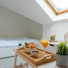 Отель Duplex 3-bedrooms Laeken Brussels Expo Бельгия, Брюссель - отзывы, цены и фото номеров - забронировать отель Duplex 3-bedrooms Laeken Brussels Expo онлайн фото 2