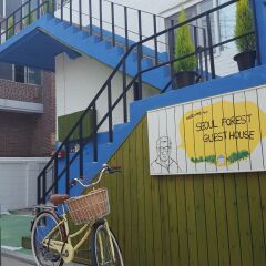 Seoul Forest Guesthouse - Hostel фото 14