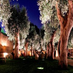 Отель La Fiermontina - Urban Resort Lecce Лечче фото 8