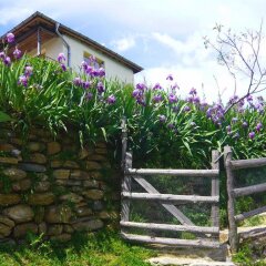 Отель Melanya Mountain Retreat Болгария, Ардино - отзывы, цены и фото номеров - забронировать отель Melanya Mountain Retreat онлайн фото 8