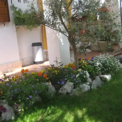 Отель Bed & Breakfast 2 Palme Италия, Падуя - отзывы, цены и фото номеров - забронировать отель Bed & Breakfast 2 Palme онлайн