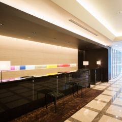 Yaezakura No Yu Super Hotel Lohas Tokyo-Eki Yaesu Chuo-Guchi бассейн