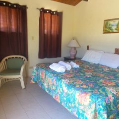 The Ocean Inn in English Harbour, Antigua and Barbuda from 127$, photos, reviews - zenhotels.com room amenities photo 2