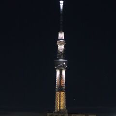 Отель Sakura Hostel Asakusa Япония, Токио - отзывы, цены и фото номеров - забронировать отель Sakura Hostel Asakusa онлайн фото 6