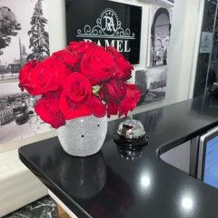 Отель Ramel Hotel Албания, Тирана - отзывы, цены и фото номеров - забронировать отель Ramel Hotel онлайн питание
