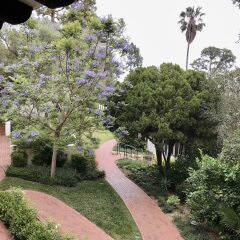 Отель Belmond El Encanto США, Санта-Барбара - отзывы, цены и фото номеров - забронировать отель Belmond El Encanto онлайн фото 10
