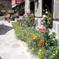 Отель Gozbarov's Guest House