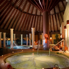 Отель Paradisus Palma Real Golf & Spa Resort All Inclusive Доминикана, Пунта Кана - 1 отзыв об отеле, цены и фото номеров - забронировать отель Paradisus Palma Real Golf & Spa Resort All Inclusive онлайн фото 11