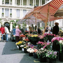 Отель Residence Nice Les Palmiers