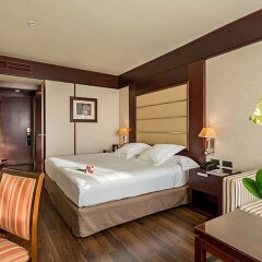 Отель Granada Center Hotel Испания, Гранада - 1 отзыв об отеле, цены и фото номеров - забронировать отель Granada Center Hotel онлайн фото 12