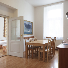 Апартаменты Alea Apartments House в номере