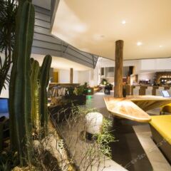 Отель Quinsay Design Hotel Китай, Сямынь - отзывы, цены и фото номеров - забронировать отель Quinsay Design Hotel онлайн гостиничный бар