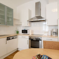 Апартаменты Vienna Apartment One Schmidgasse в номере