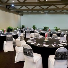 Отель Novotel Nadi Фиджи, Вити-Леву - отзывы, цены и фото номеров - забронировать отель Novotel Nadi онлайн помещение для мероприятий фото 2