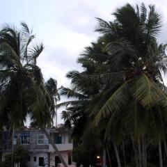 Отель Bedspace Beach