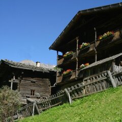 Tonzhaus Hotel & Restaurant Сеналес с домашними животными