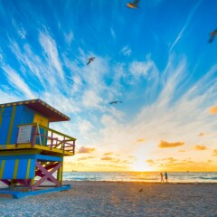 Lexington Hotel - Miami Beach детские мероприятия
