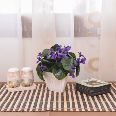 Отель FM Deluxe 1-BDR Apartment - Artist's Place Болгария, София - отзывы, цены и фото номеров - забронировать отель FM Deluxe 1-BDR Apartment - Artist's Place онлайн в номере