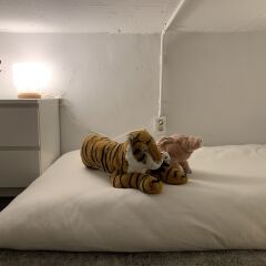 Отель iHouse ChinChin с домашними животными