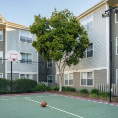 Отель Residence Inn by Marriott Milpitas Silicon Valley спортивное сооружение