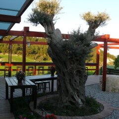 Urla Bagevi Boutique Hotel - Special Class Урла детские мероприятия