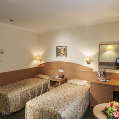 Отель Danubius Hotel Erzsébet City Center Венгрия, Будапешт - 6 отзывов об отеле, цены и фото номеров - забронировать отель Danubius Hotel Erzsébet City Center онлайн комната для гостей фото 2