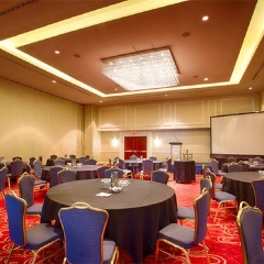 Отель Pinnacle Hotel Harbourfront Канада, Ванкувер - отзывы, цены и фото номеров - забронировать отель Pinnacle Hotel Harbourfront онлайн помещение для мероприятий фото 2