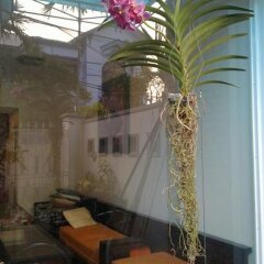 Отель Flower Garden Homestay Хойан фото 5