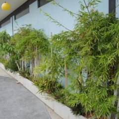 Aya Boutique Hotel Pattaya