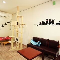 Kinugawa Kokusai Hotel Никко детские мероприятия фото 2