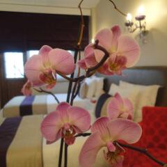 Best Western Tashan Business Airport Hotel спа